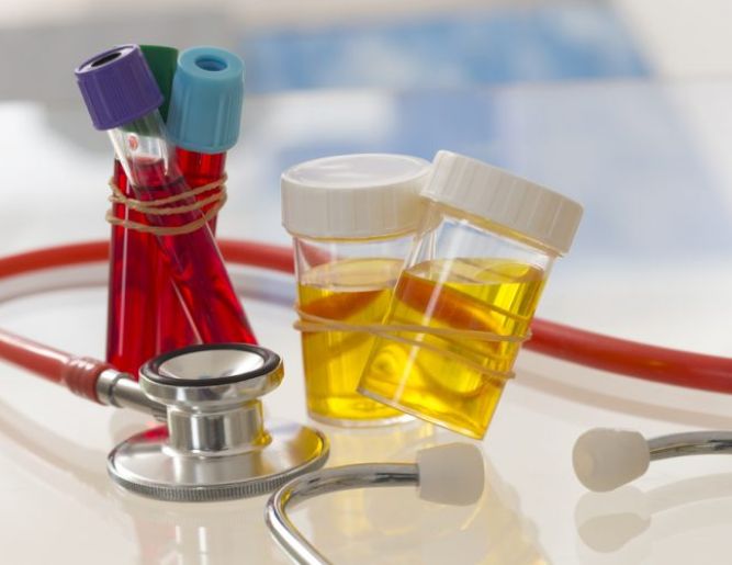 Pathology Laboratory