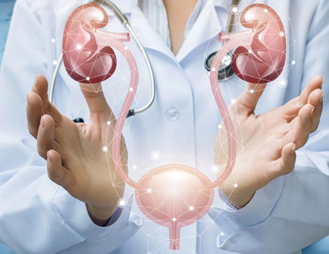 Ureter Reconstruction Surgery